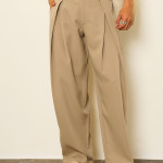 Men Relaxed  Easy Wash Pleated Trousers